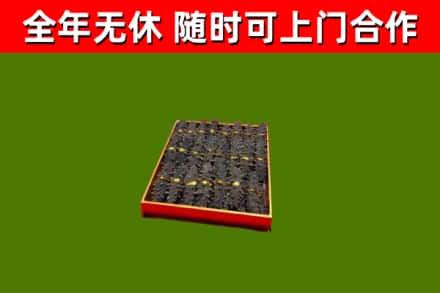 耿马回收海参